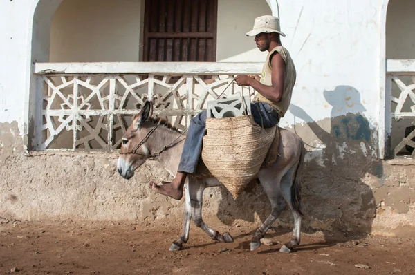 La gente del posto che utilizza un asino per il trasporto a Lamu — Foto Stock