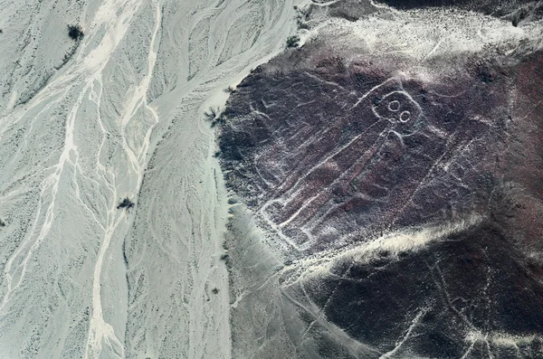 Geoglyphs and lines in Nazca desert — Stock Photo, Image