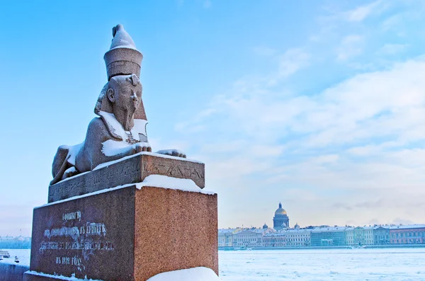 Esfinge egipcia en Neva en San Petersburgo —  Fotos de Stock
