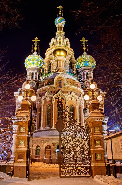 Erlöserkirche auf vergossenem Blut — Stockfoto