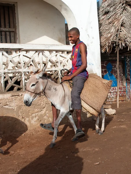 La gente del posto che utilizza un asino per il trasporto in Lamu, Kenya — Foto Stock