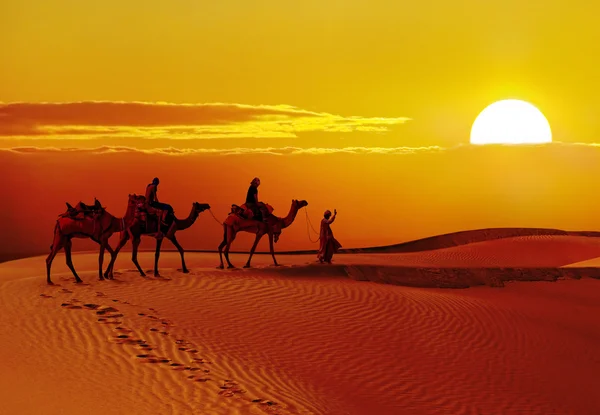 Beautiful sunset at desert — Stock Photo, Image