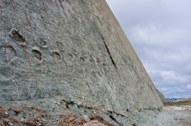 Dinozor parçaları duvar