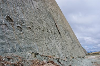 Dinosaur Tracks on Wall clipart