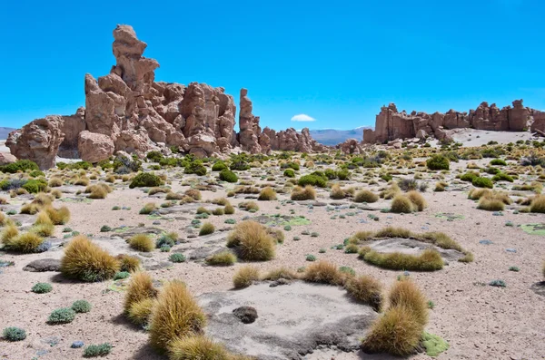 Formazione rocciosa ad Altiplano — Foto Stock