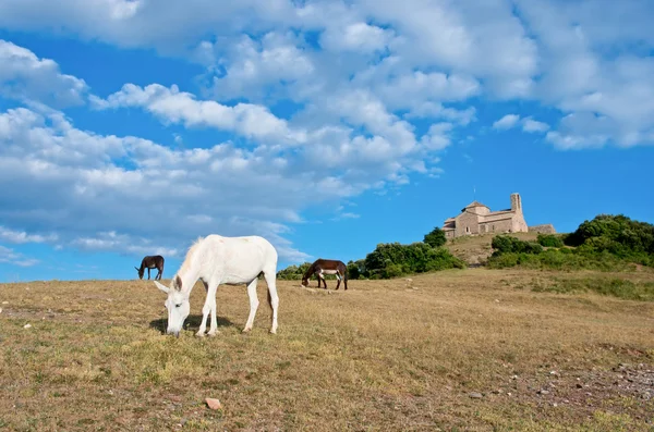 Monastero di Sant Llorenc del Munt — Foto Stock