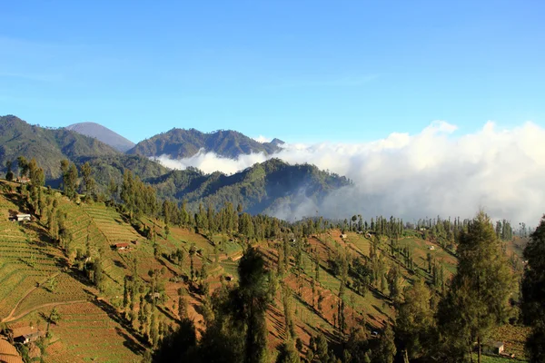 Berg, Java, Indonesien — Stockfoto