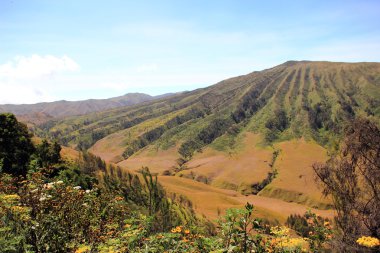 Endonezya'nın dağ yanardağ