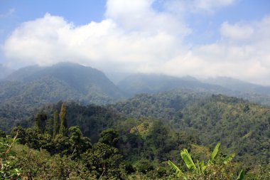 dağ, Java, Endonezya