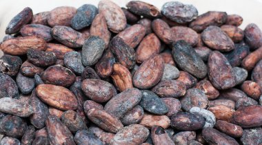 Ham kakao çekirdekleri