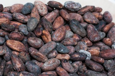 Ham kakao çekirdekleri