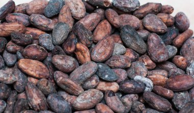 Ham kakao çekirdekleri