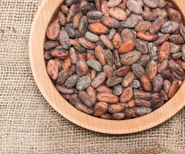 Los granos de cacao — Foto de Stock