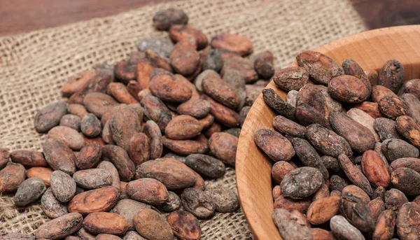 Los granos de cacao — Foto de Stock