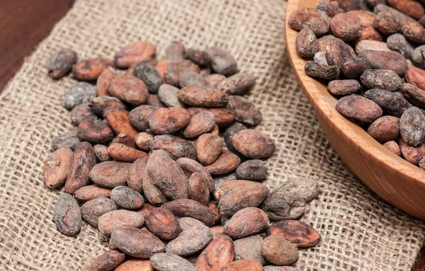 Los granos de cacao — Foto de Stock