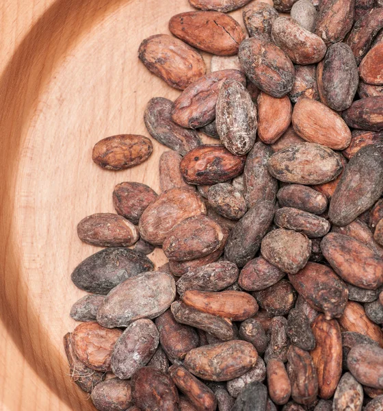 Los granos de cacao — Foto de Stock