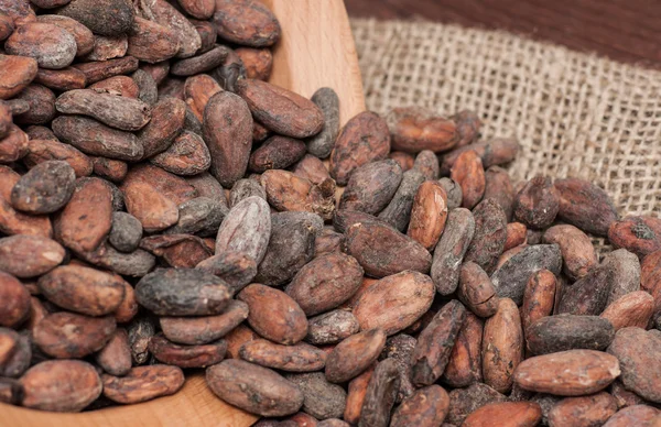 Los granos de cacao — Foto de Stock