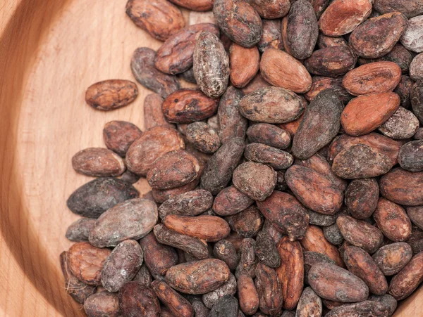 Los granos de cacao — Foto de Stock