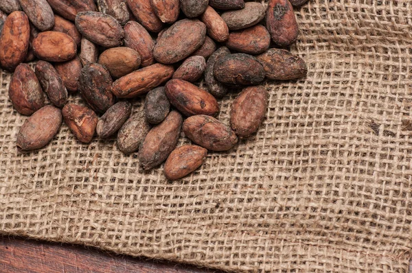 Какао-боби — стокове фото