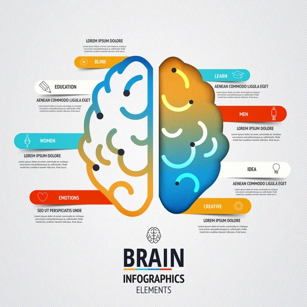 Progettazione creativa di infografiche cerebrali — Vettoriale Stock