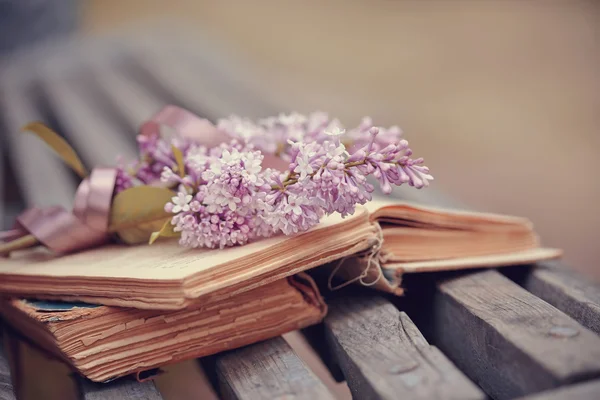 Rama lila con una cinta en el libro —  Fotos de Stock