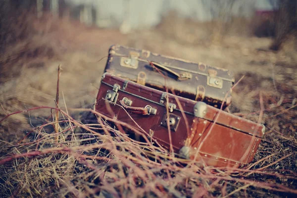 Two vintage suitcases — Stock Photo, Image