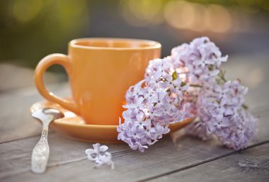 Bir kaşık ve bir leylak dalı ile Kupası.