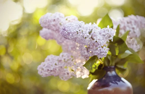 Buquê de lilás em um vaso — Fotografia de Stock