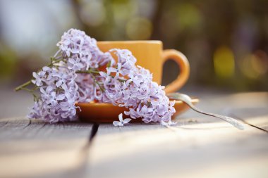 Bir kaşık ve bir Lila ile turuncu Kupası 