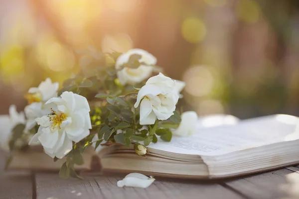 O buquê de um dogrose encontra-se no livro aberto. — Fotografia de Stock