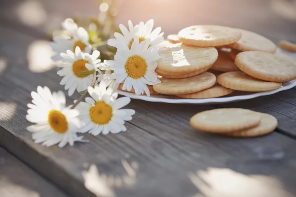 Camomile and cookies — Stock Photo, Image