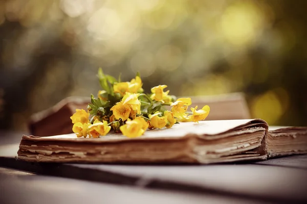 古い本とキンポウゲの花束を開く. — ストック写真