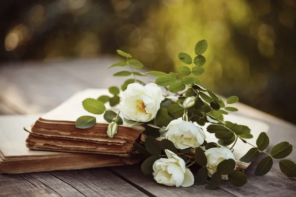 Dogrose en los libros abiertos sobre una mesa de madera —  Fotos de Stock