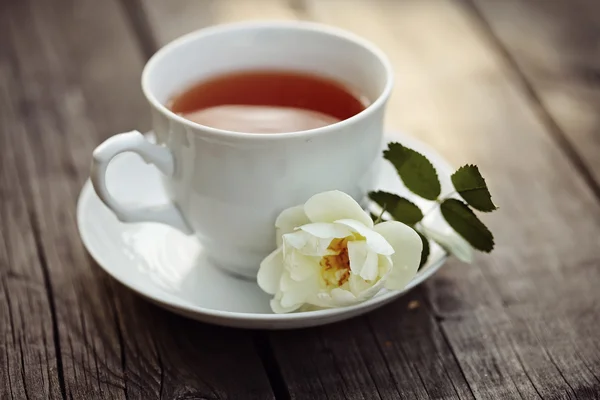 White cup and a branch of the wild rose — Stock Photo, Image