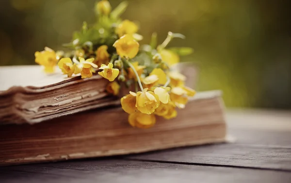 Düğünçiçekleri ahşap bir masa üzerinde eski kitaplar. — Stok fotoğraf