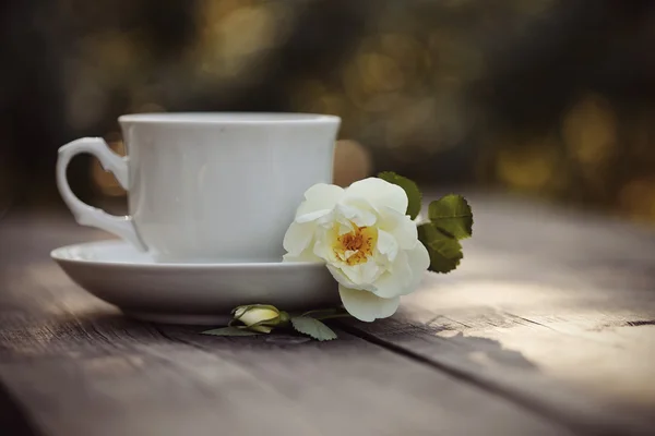 Белый Кубок и ветка дикой розы — стоковое фото
