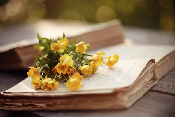 Παλιά Ανοίξτε βιβλία και κίτρινο buttercups — Φωτογραφία Αρχείου