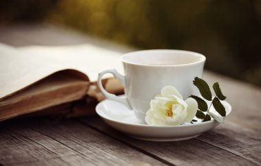 Eski kitap ve bir fincan beyaz bir yabani gül ile açın