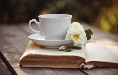 Dogrose açık bir kitap üzerinde çiçekli beyaz çay bardağı