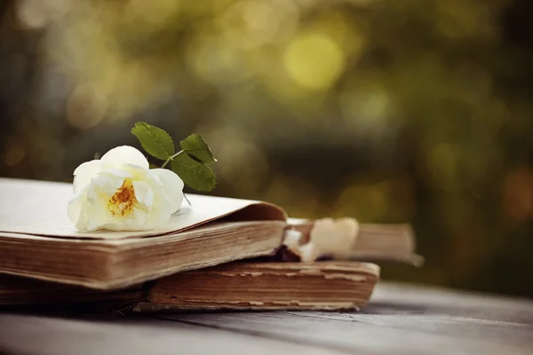 Τα άγρια τριαντάφυλλα στα ανοιχτά βιβλία σε ένα ξύλινο τραπέζι — Φωτογραφία Αρχείου