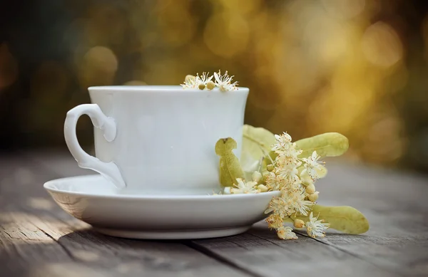 Thé aux fleurs de tilleul dans une tasse blanche — Photo