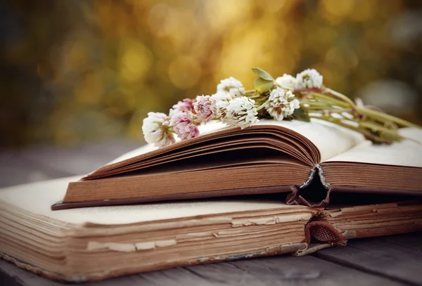 Ramo de trébol se encuentra en los libros. —  Fotos de Stock