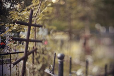 Arka planı bulanık, çitin arkasındaki mezarda haç var. Ücretsiz Lensli teçhizatta çekiliyor..