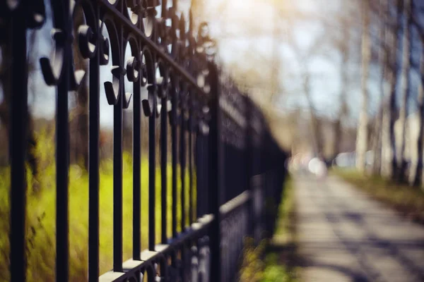 Landscape Fence Road Vegetation — Stock Photo, Image