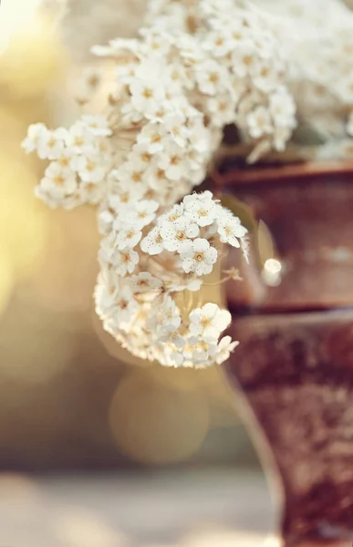Bouquet Spirea Flowers Vase — Stock Photo, Image