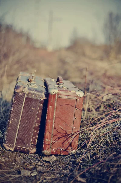 两个老式的手提箱矗立在一片褪了色的草地上 — 图库照片