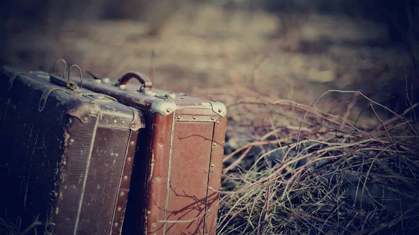 Two Old Shabby Suitcases Stand Forgotten Road Faded Grass — Stock Photo, Image