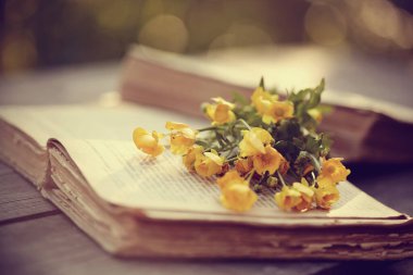 Tahta bir masada eski açık kitaplar ve sarı düğün çiçekleri..