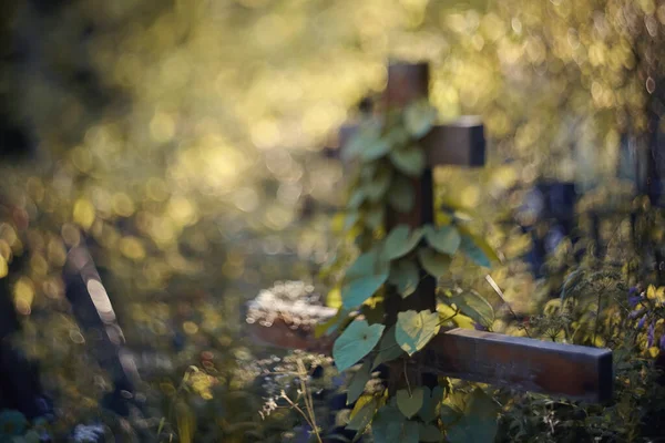 Fond Flou Avec Une Croix Bois Lierre Envahi Est Photographié — Photo