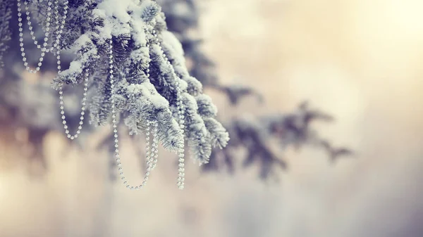 Ramo Abeto Coberto Neve Neve Com Decoração Árvore Natal — Fotografia de Stock